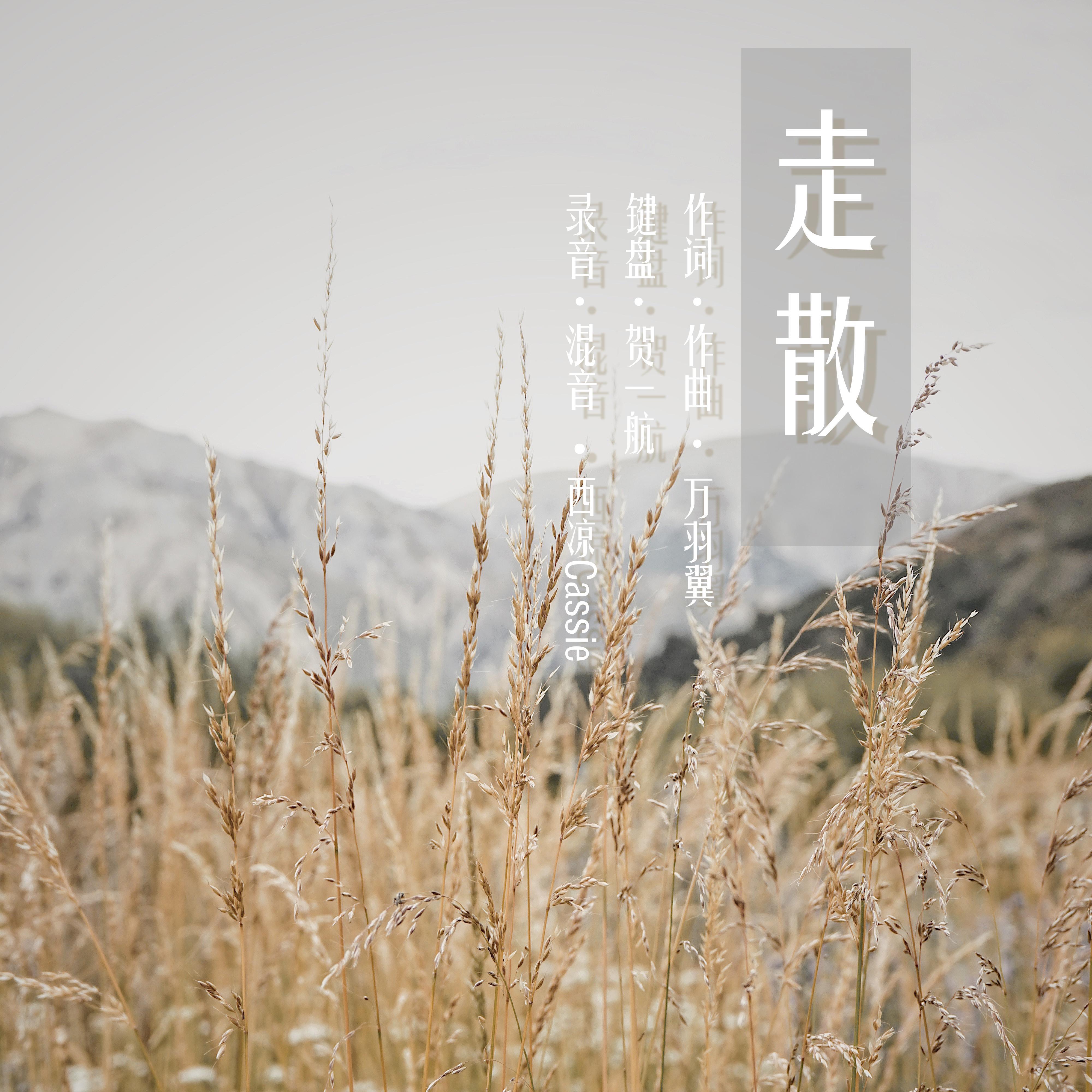 走散