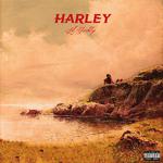 Harley专辑