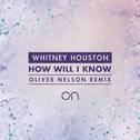 How Will I Know (Oliver Nelson Remix)专辑