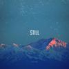 Ants - Still