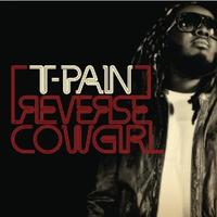 T-Pain - Reverse Cowgirl (karaoke)