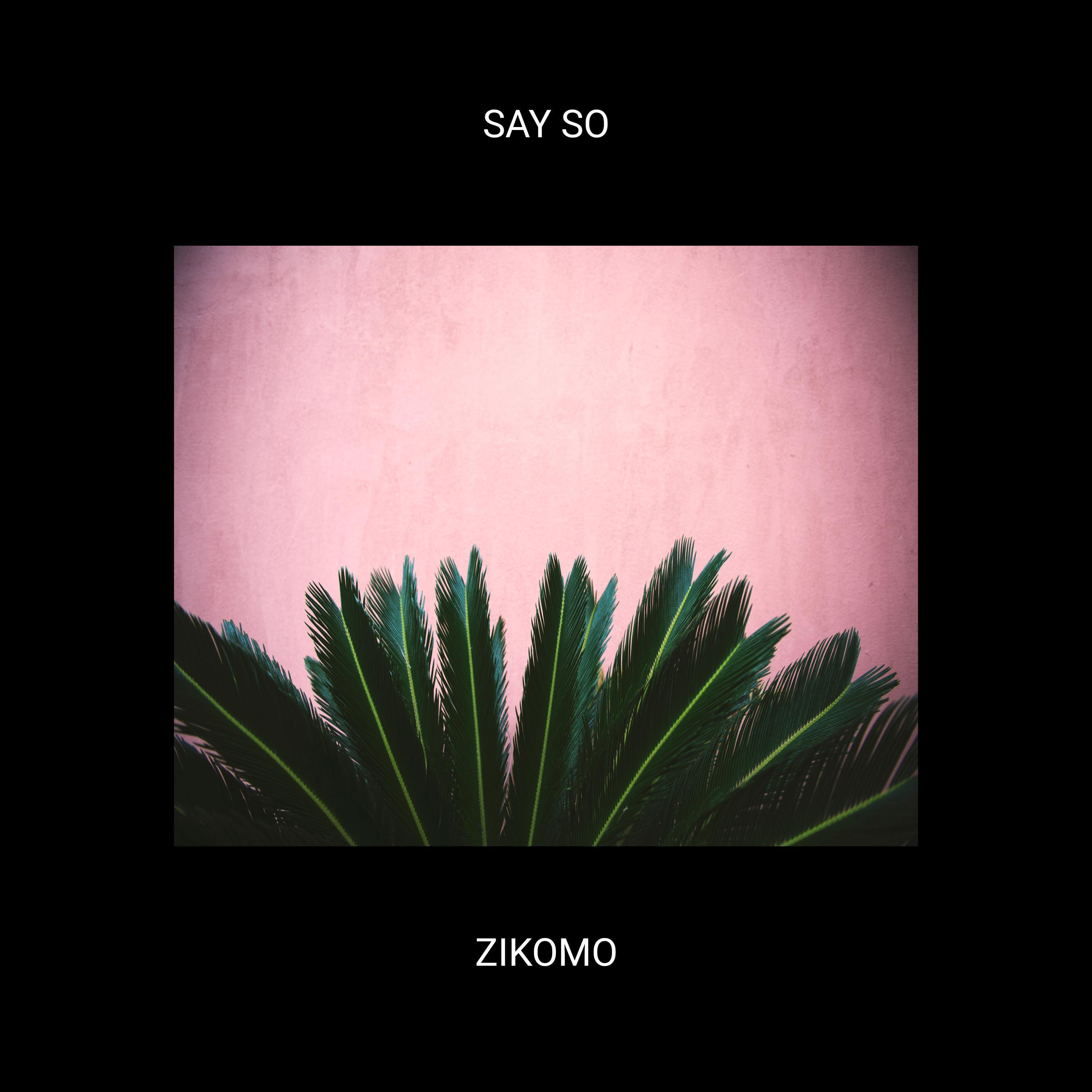 Say So