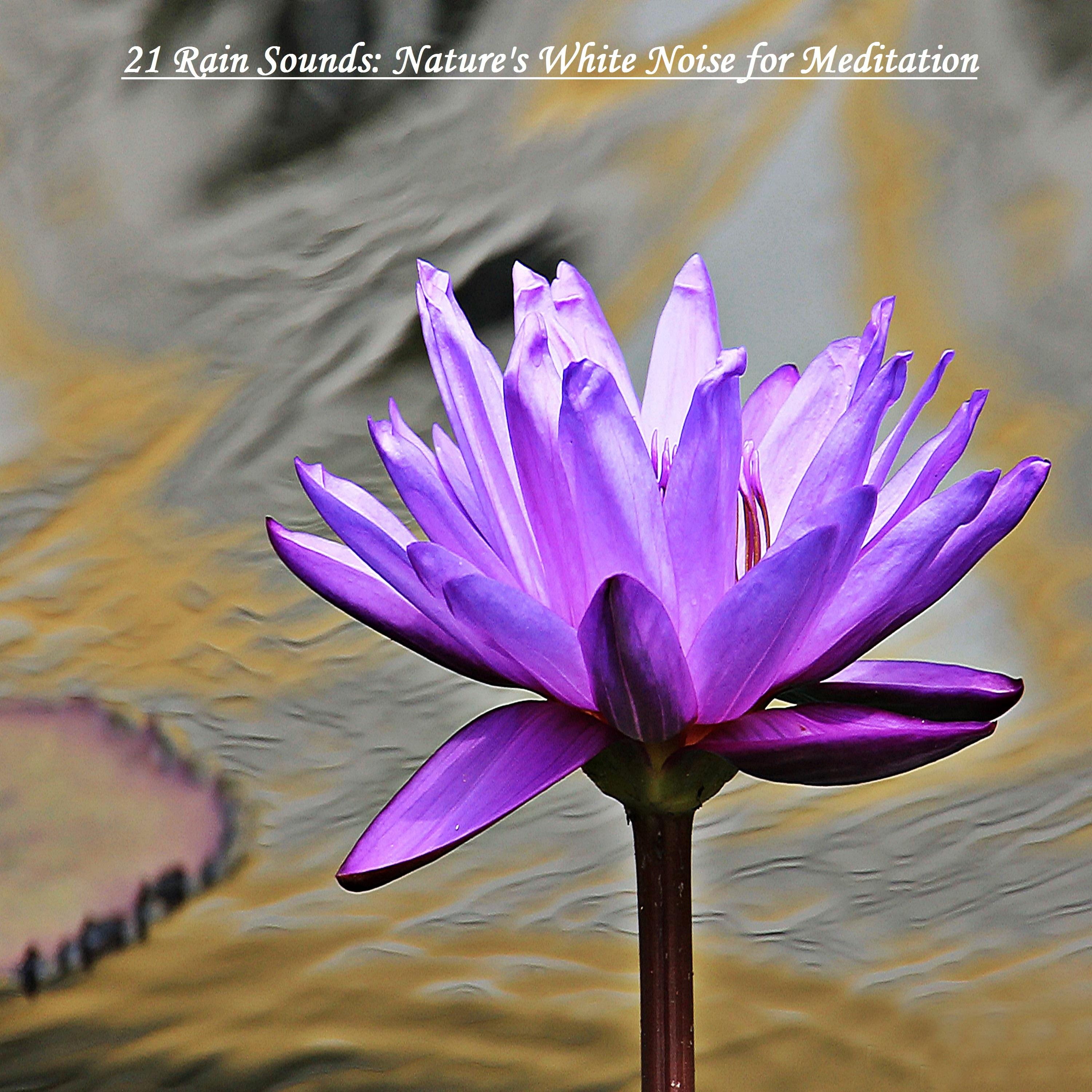 21 Rain Sounds: Nature's White Noise for Meditation专辑