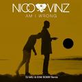 Am I Wrong (Remix)