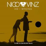 Am I Wrong (Remix)专辑