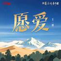 愿爱专辑