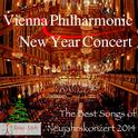 Vienna Philharmonic New Year Concert专辑