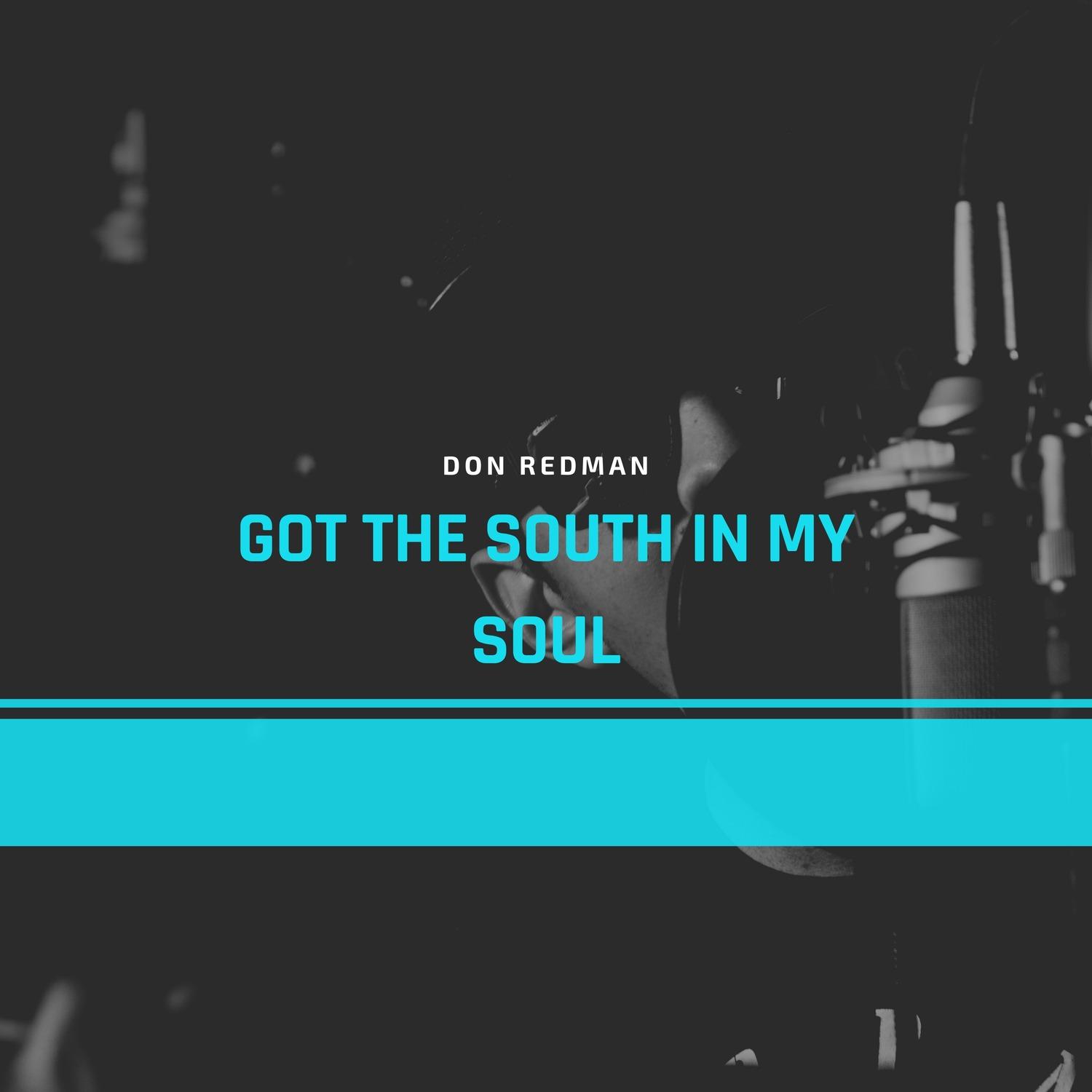 Got the South in My Soul