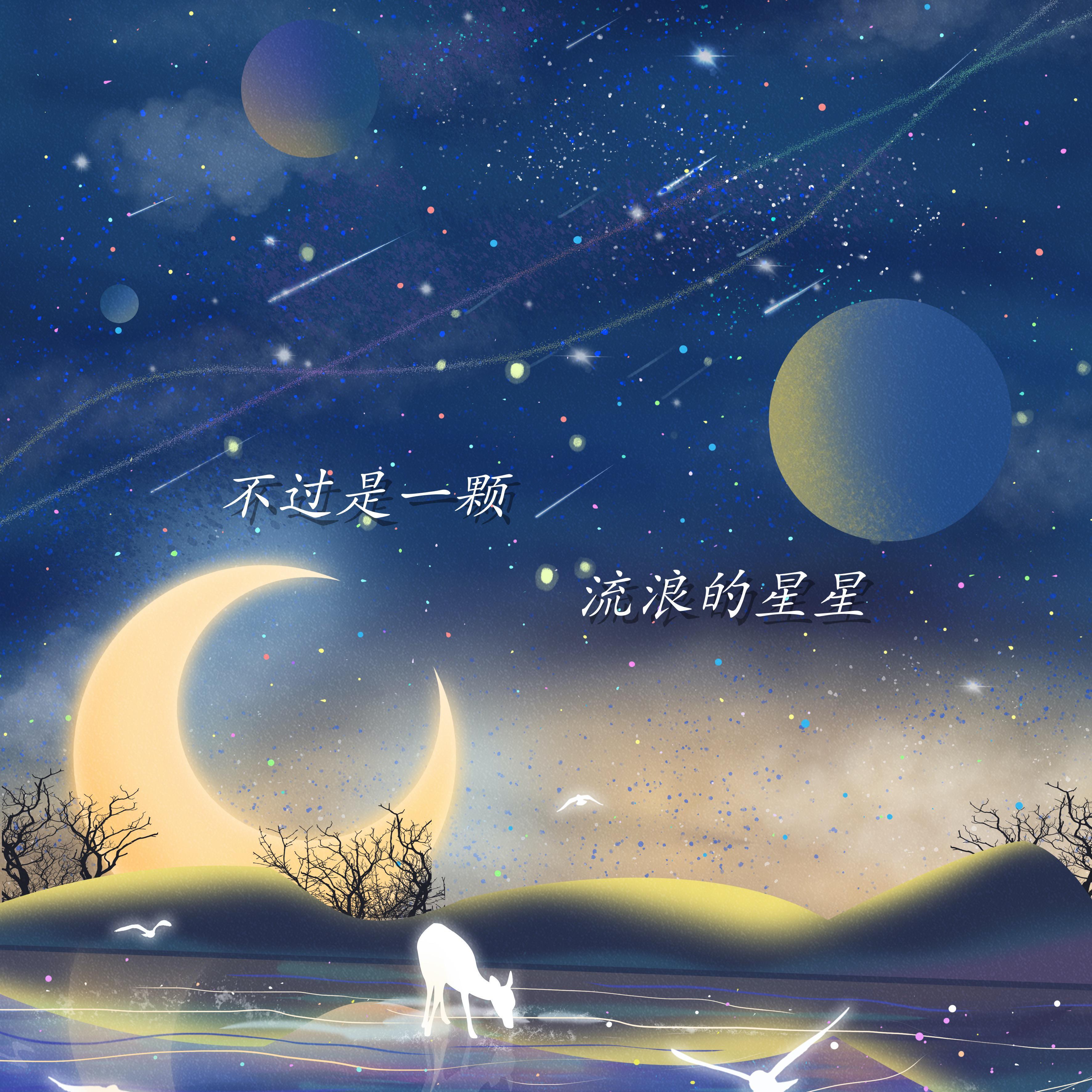 不过是一颗流浪的星星