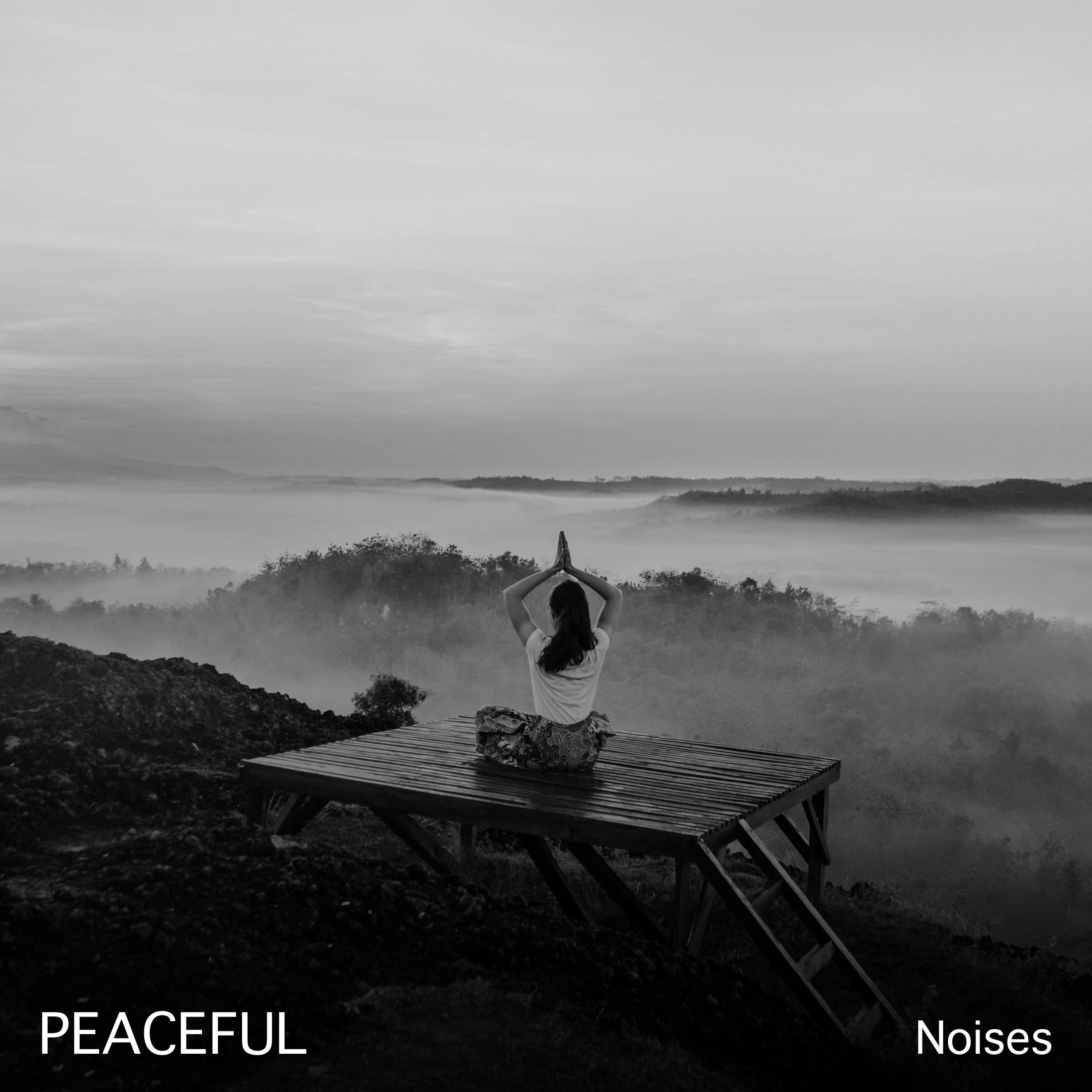 #10 Peaceful Noises for Meditation and Sleep专辑