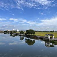 黄河入海 伴奏 无人声 伴奏