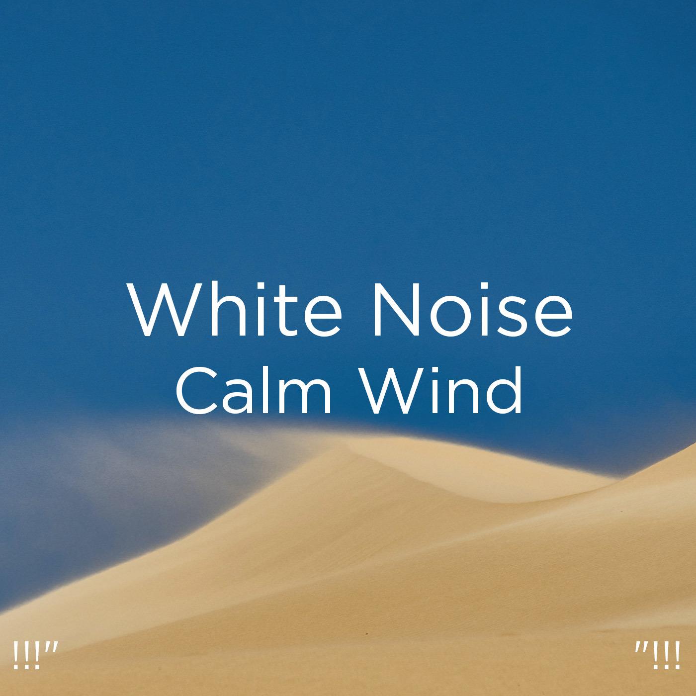 !!!" White Noise Calm Wind "!!!