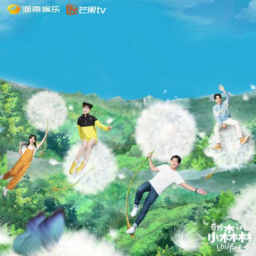 奇妙小森林