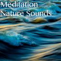 15 Meditation and Deep Sleep Sounds of Rain and Nature专辑