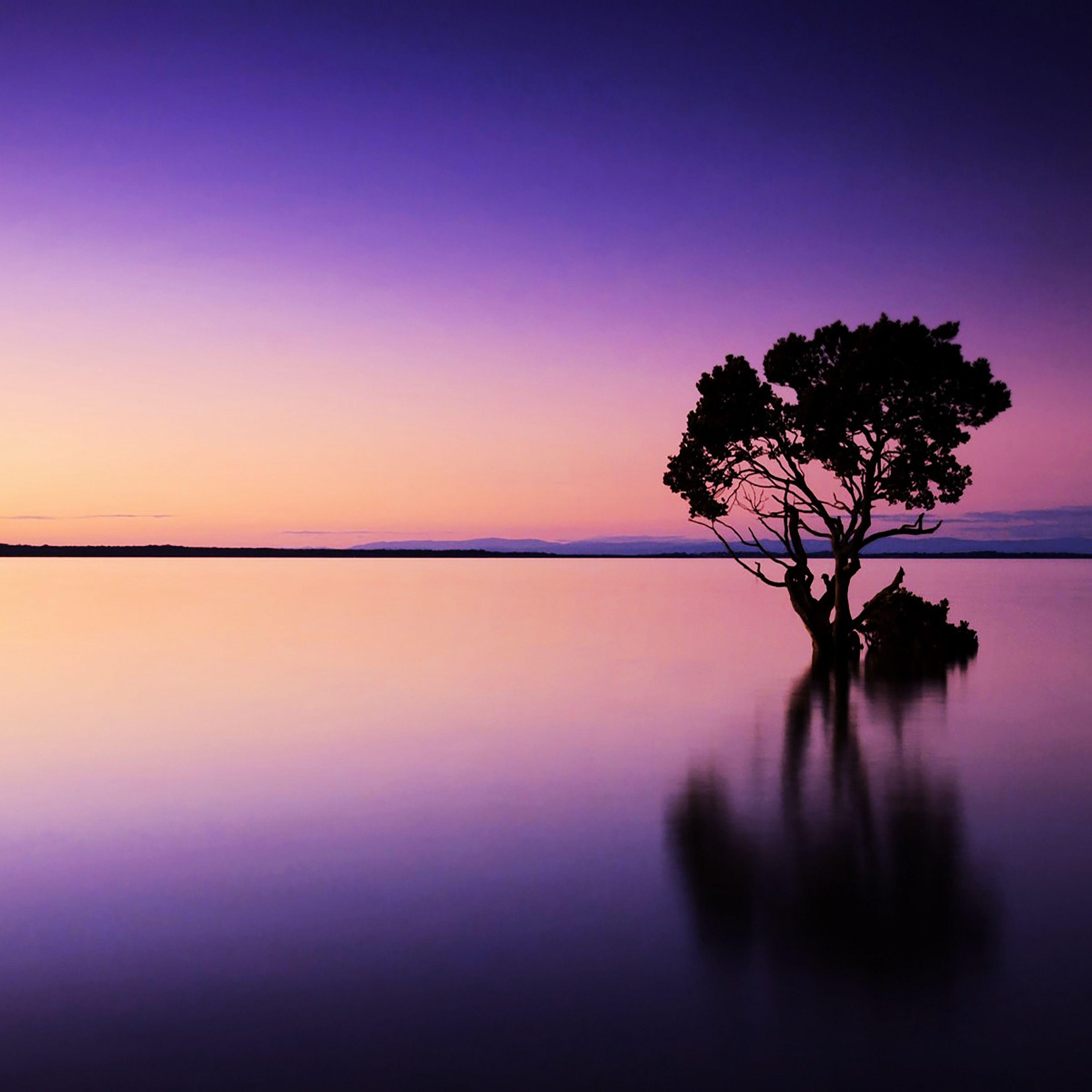 高效睡眠 阿尔法脑波催眠音乐