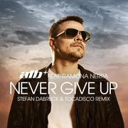 Never Give Up (Stefan Dabruck & Tocadisco Remix)