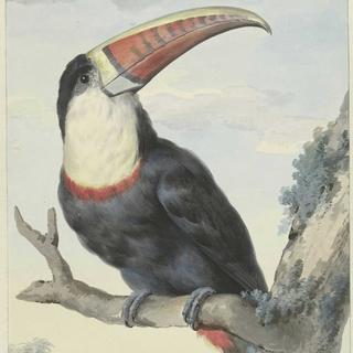 纵有情丝千万缕，欲诉不只从何起。