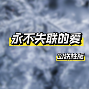 永不失联的爱（DJ铁柱版）专辑