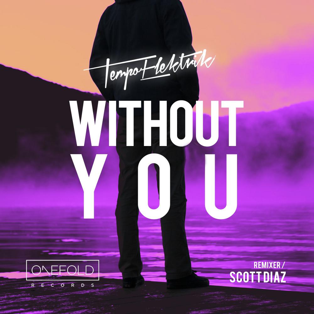 Tempo Elektrik - Without You (Scott Diaz Dub Instrumental)