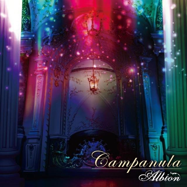 Campanula