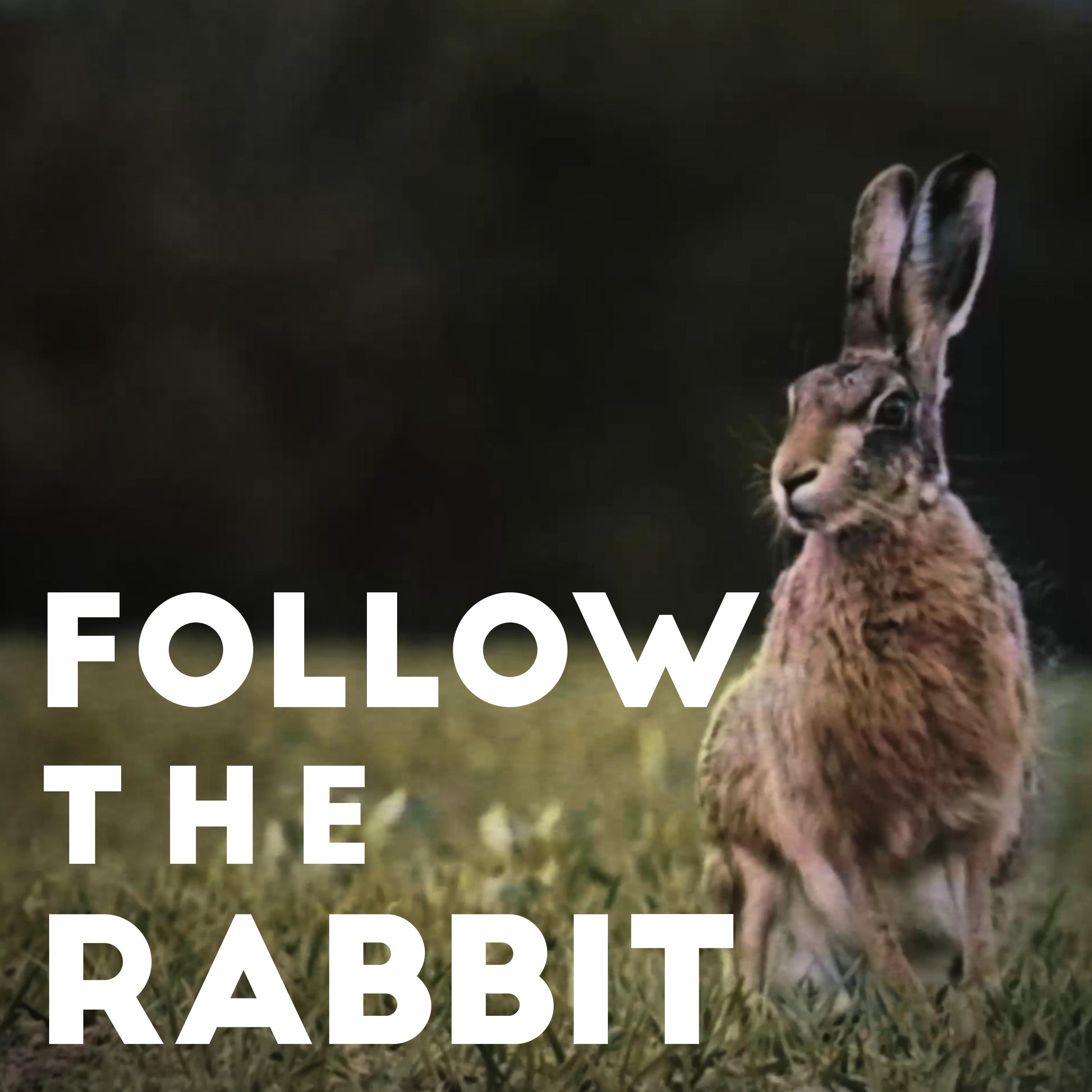 Louv - Follow the Rabbit