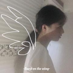 Burst On The Wing (振翅起飞)