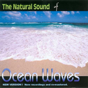 Natural Sound Series - Ocean Waves专辑