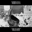 Bleach (20th Anniversary Deluxe Edition)专辑