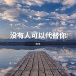 没有人可以代替你专辑