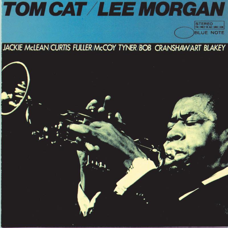 Tom Cat