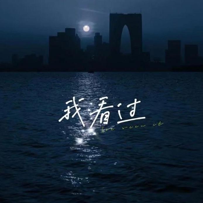 我看过（1.1x）