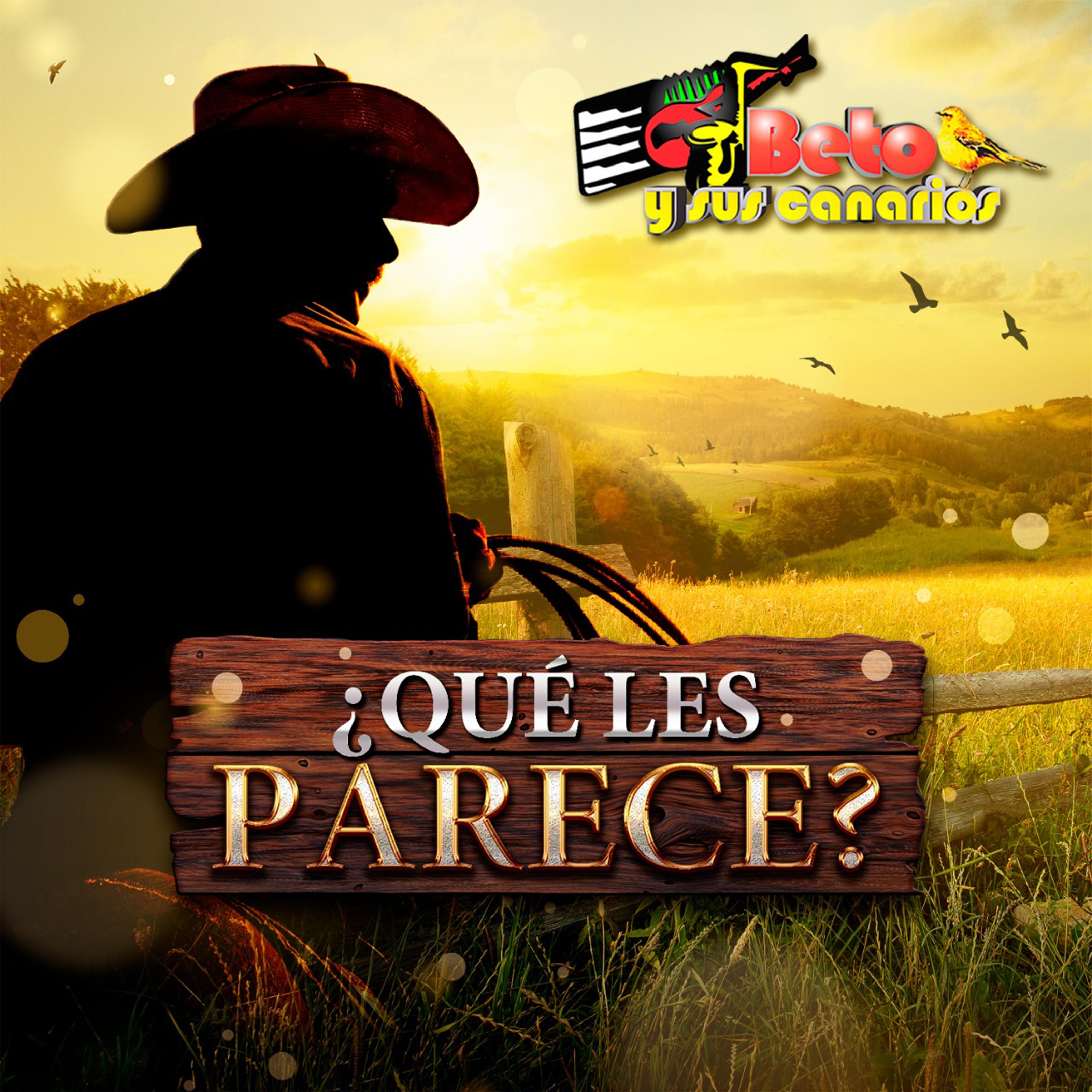 ¿Qué Les Parece?