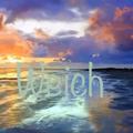 Weich