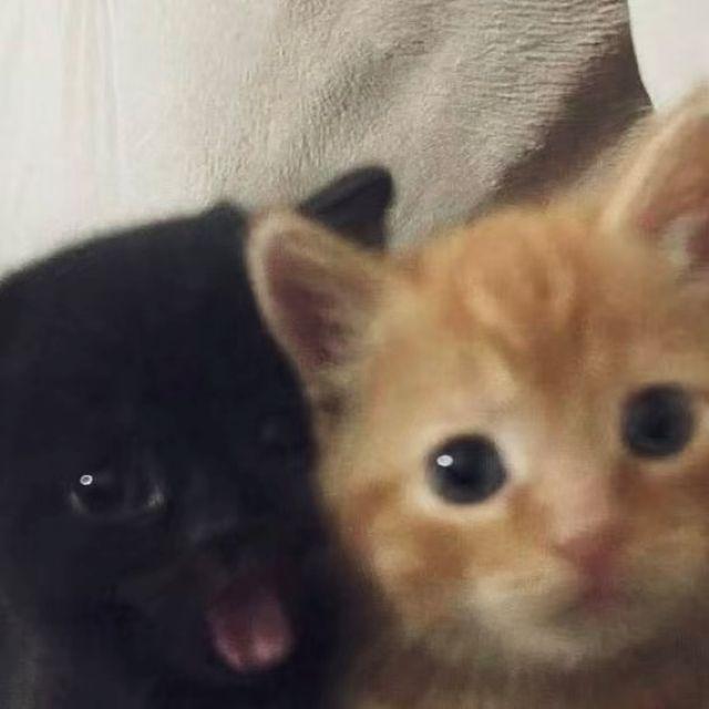 “记录” SASIOVERLXRD × SadVocal × Piano Type Beat