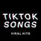 TikTok Songs: Viral Hits 2022 | 2023专辑