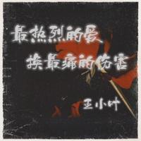 大美 - 最热烈的爱换最痛的伤害(DJheap九天版) (带伴唱) 伴奏