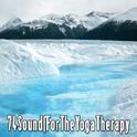 74 Sounds for the Yoga Therapy专辑