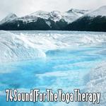 74 Sounds for the Yoga Therapy专辑