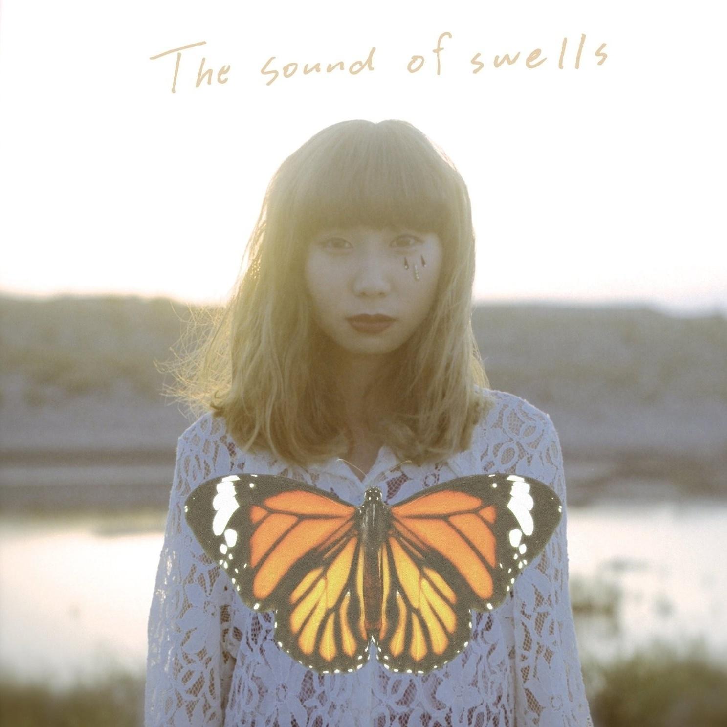 The Sound Of Swells