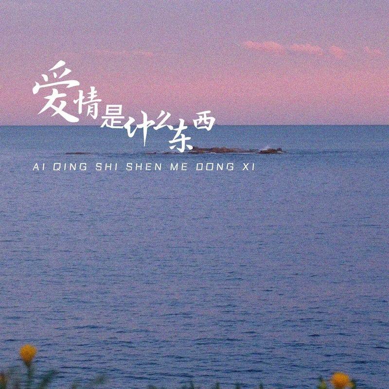 爱情是什么东西（DJ版）