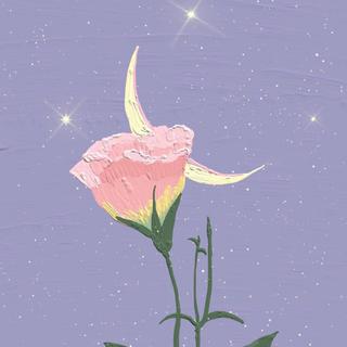 【音乐处方】音乐“滤镜“-安眠白噪音