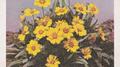 Six Songs for Invisible Gardens专辑