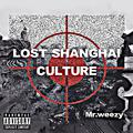 Lost ShangHai Culture