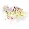 【湖工大文新学院印象曲】我曾经过的地方