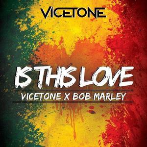 Bob Marley、LVNDSCAPE、Bolier - Is This Love （升7半音）