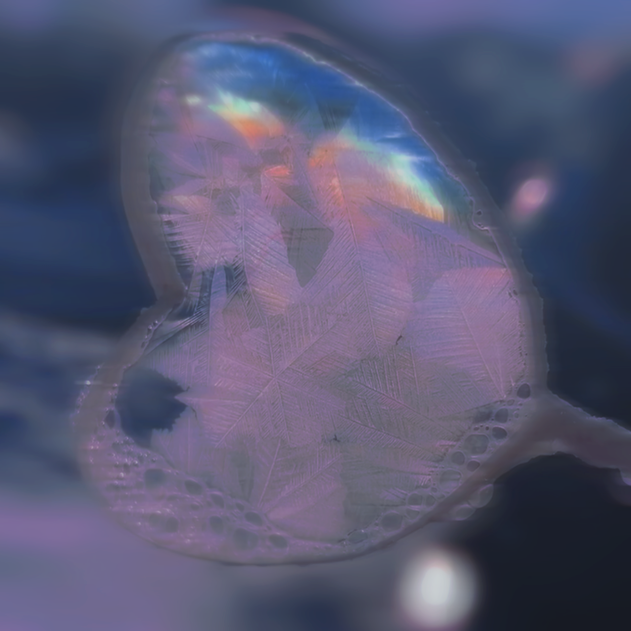 凝