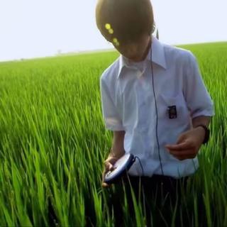 痛苦交杂着我的思绪