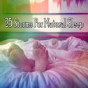 25 Storms For Natural Sleep专辑