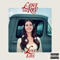 Groupie Love - Lana Del Rey Ft. Asap Rocky (HT Instrumental) 无和声伴奏