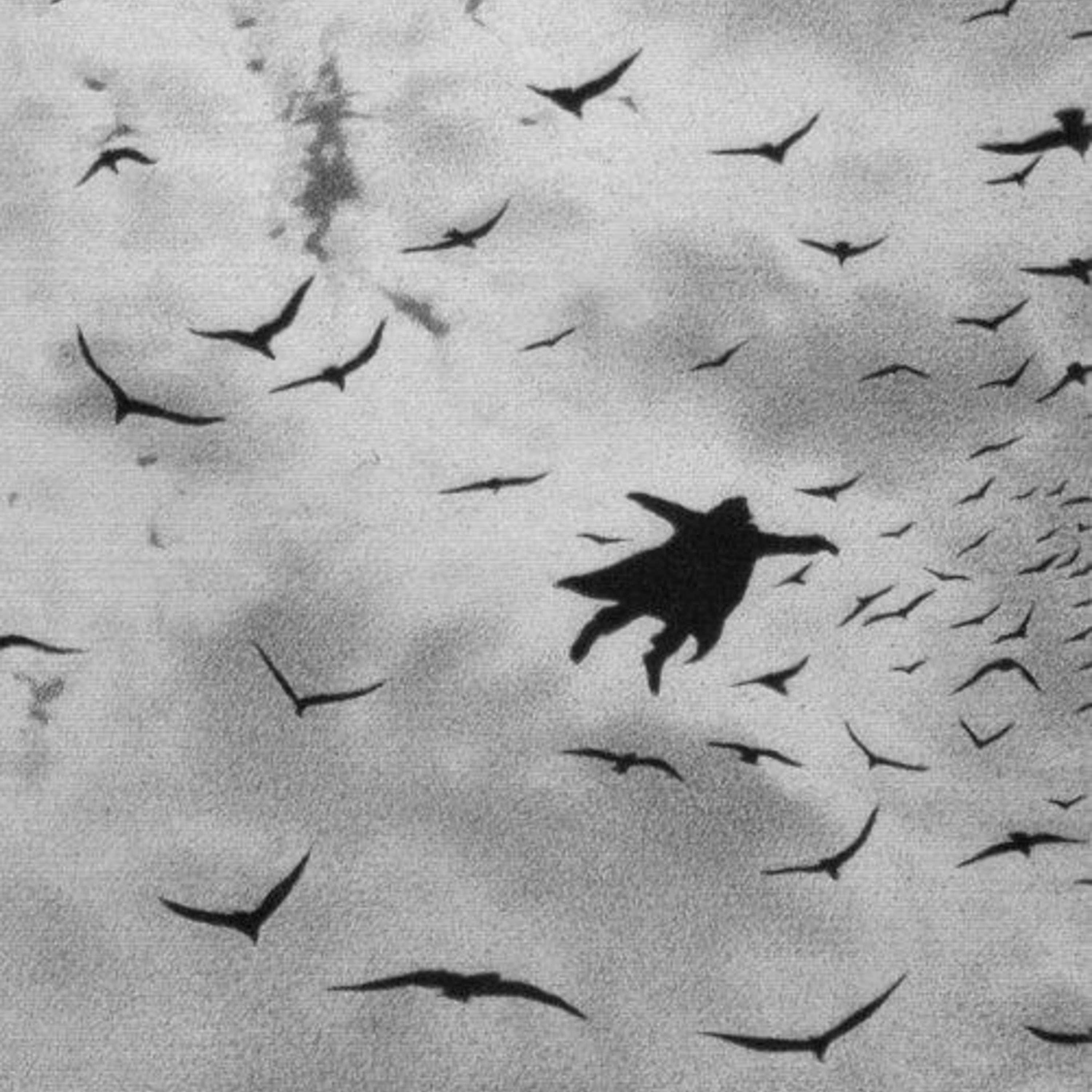 nitesky, slowed + reverb